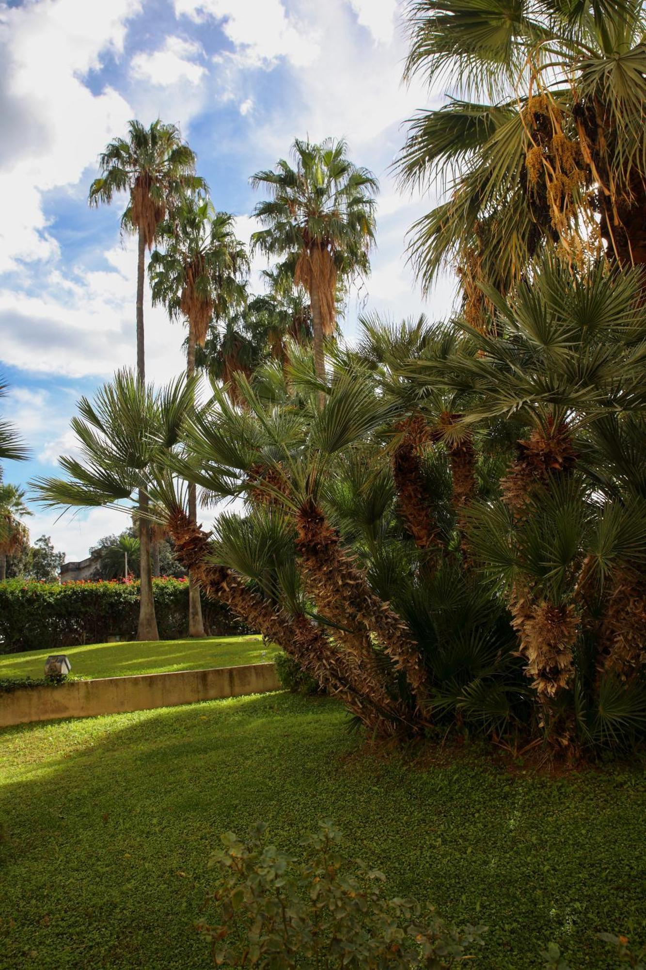 Appartamenti Duec Trapani Exteriör bild